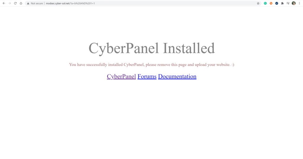 CyberPanel website