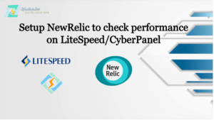 Setup NewRelic on LiteSpeed/CyberPanel to check Web Application Performance