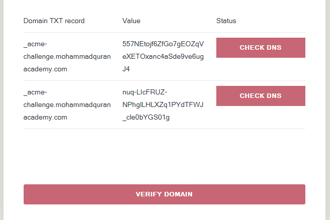 Adding TXT Records And Verifying Domain