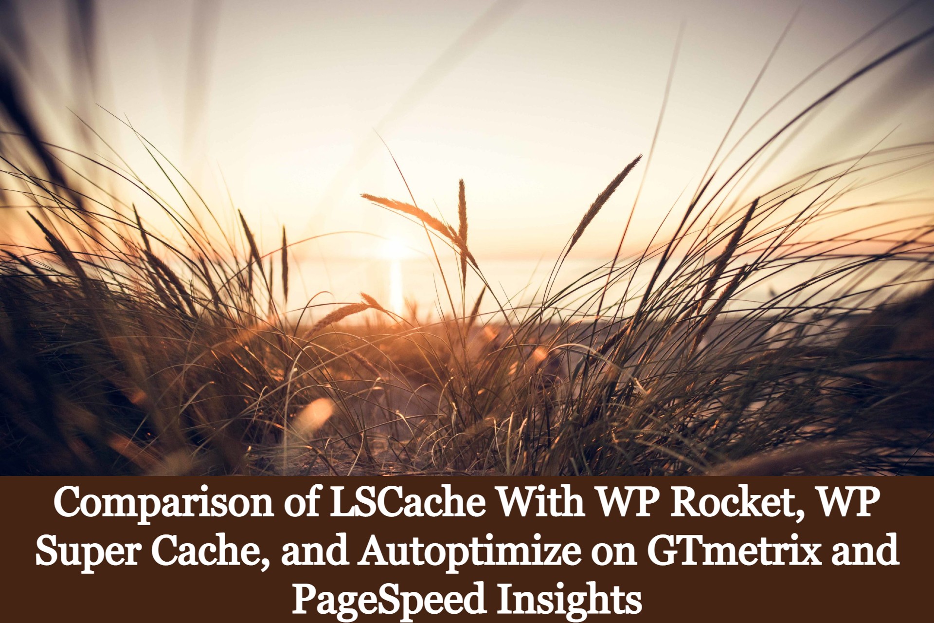 Comparison of LSCache With WP Rocket, WP Super Cache, and Autoptimize on GTmetrix and PageSpeed Insights