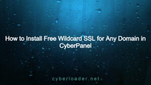 How to Install Free Wildcard SSL Certificate for Any Domain in CyberPanel