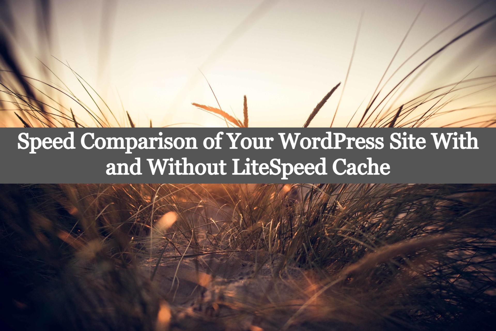 Speed Comparison of Your WordPress Site With and Without LiteSpeed Cache